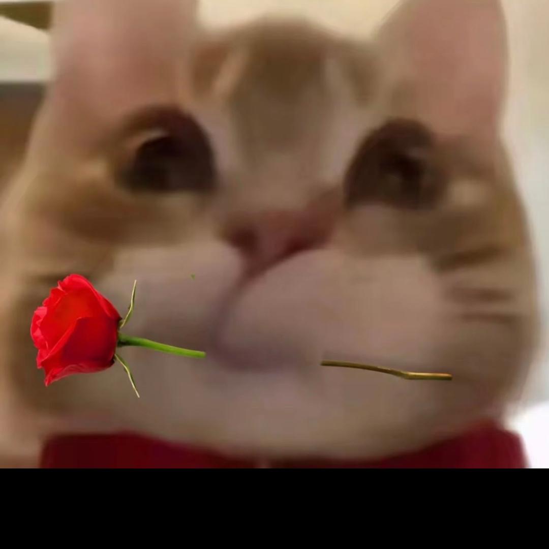 苹果汁