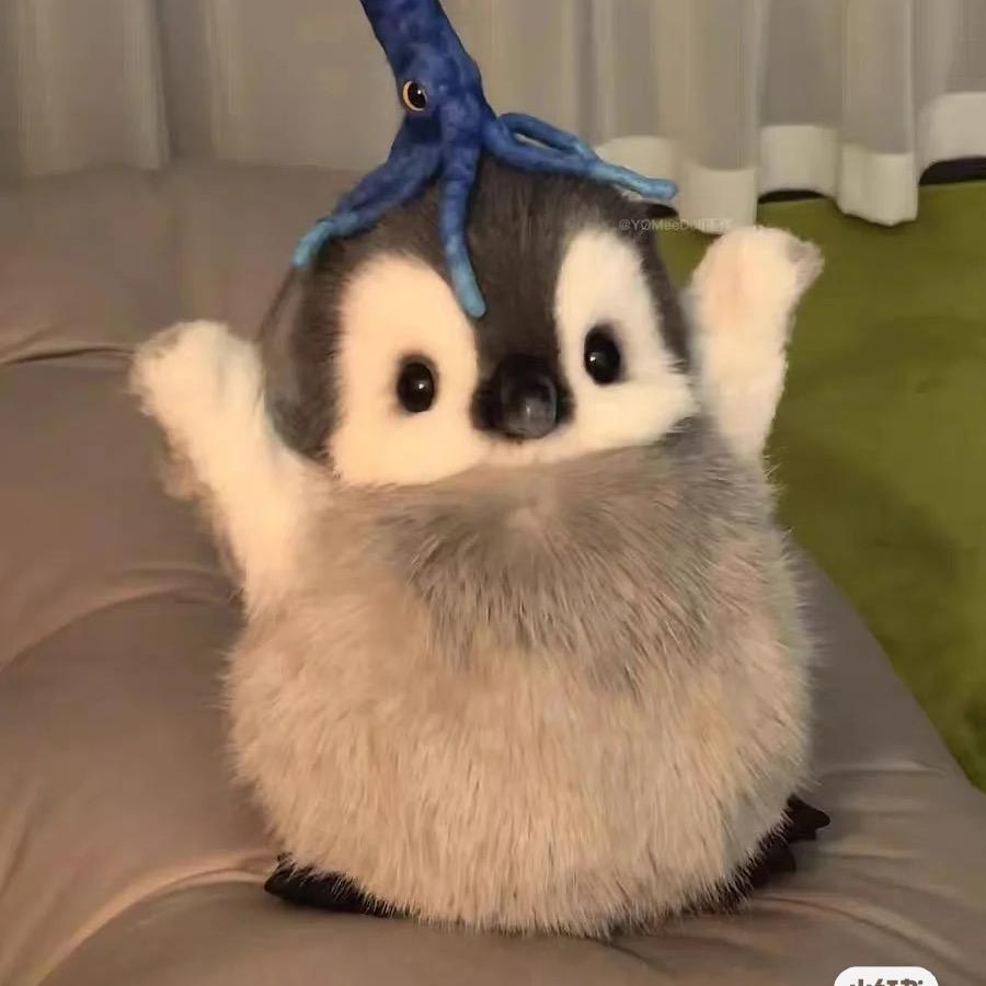 树洞企鹅