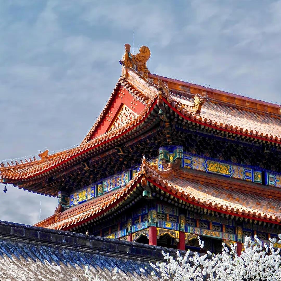 雍和胧月公主👸🏻