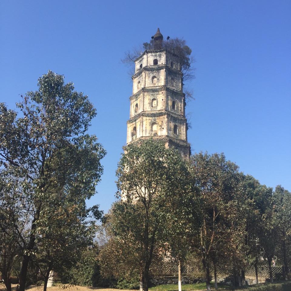 用户7858657098731