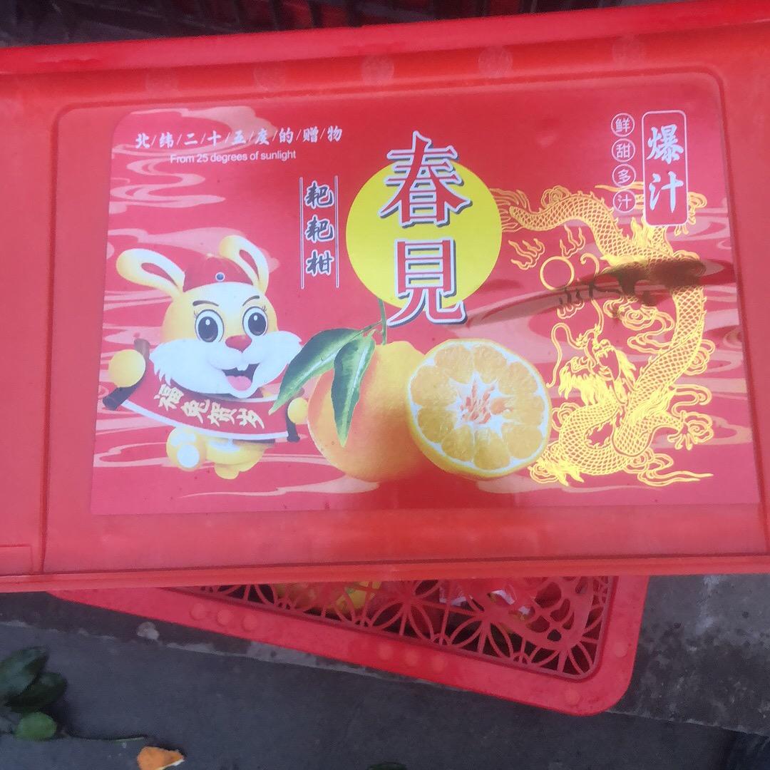 飞哥🦀🦀