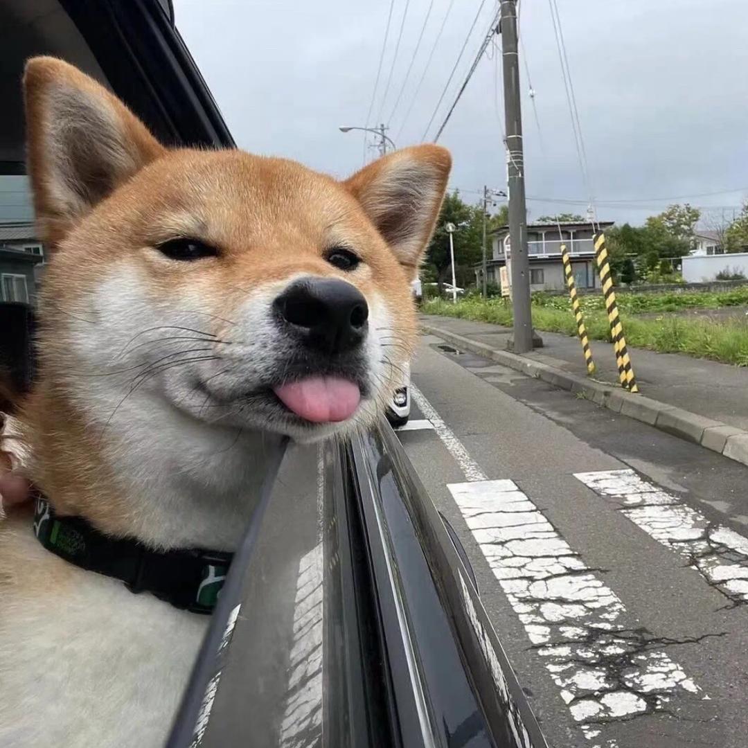 Z H E N G