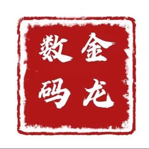 金龙数码