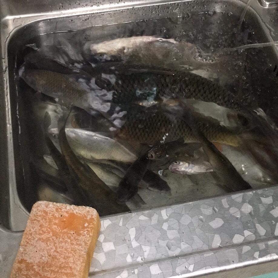 独行客
