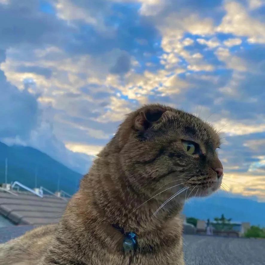 要记得填写昵称