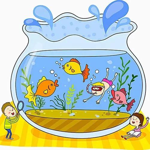 小鹏养鱼用品