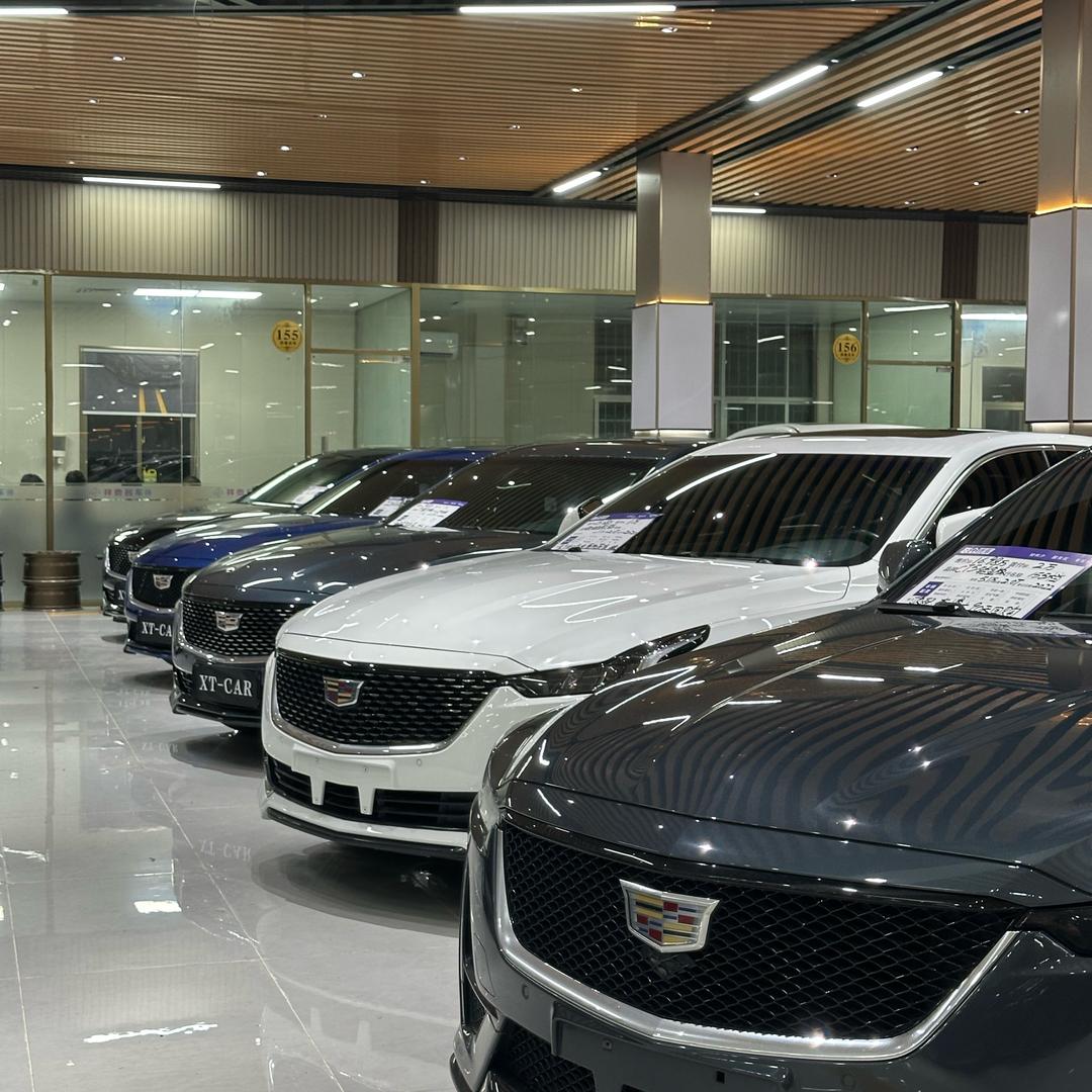 小珍-凯迪拉克专业户