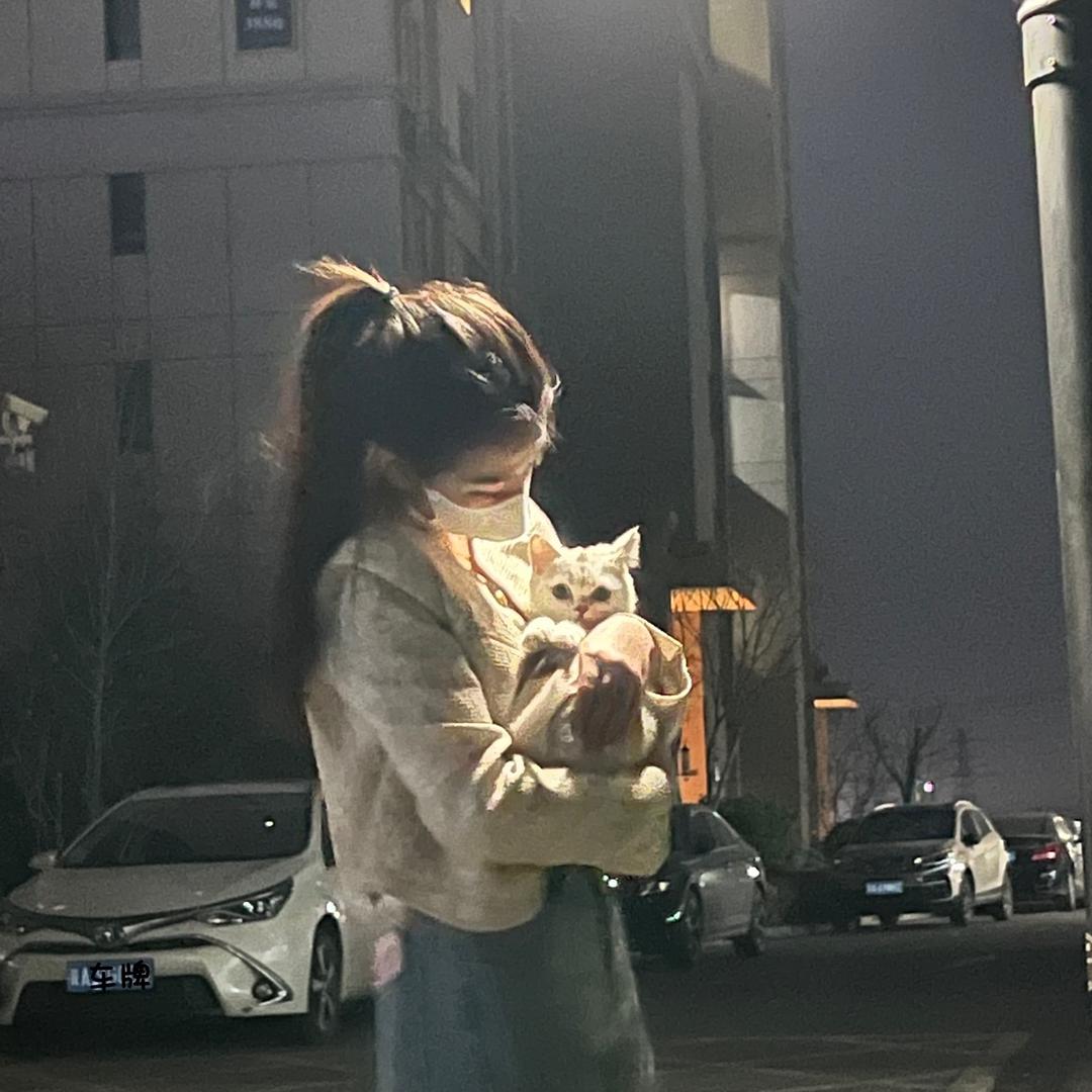 铁锤妹妹🌸