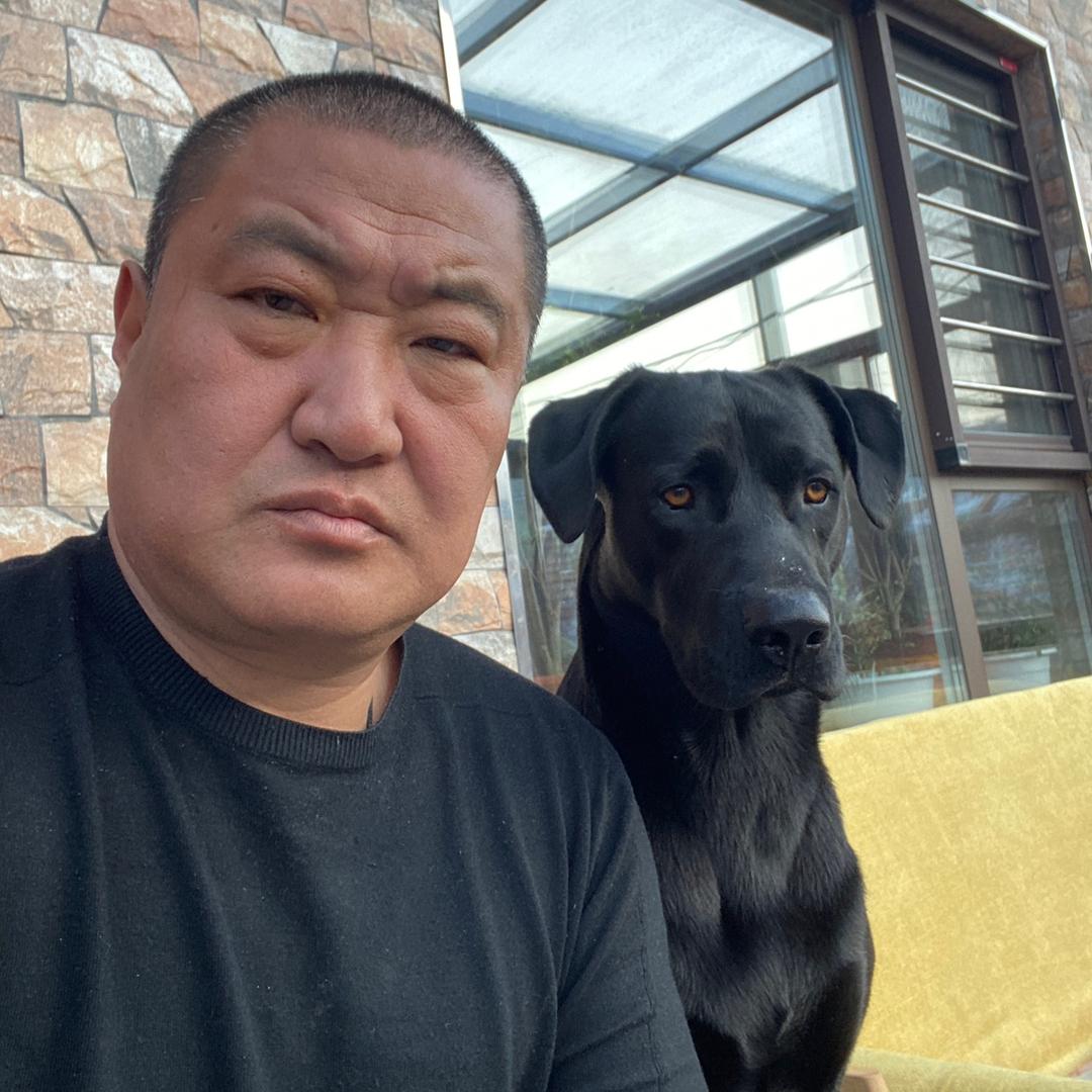 豁达和毛孩