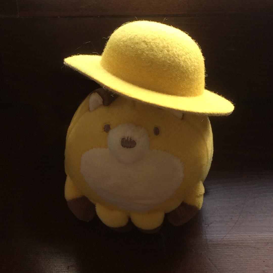小饱