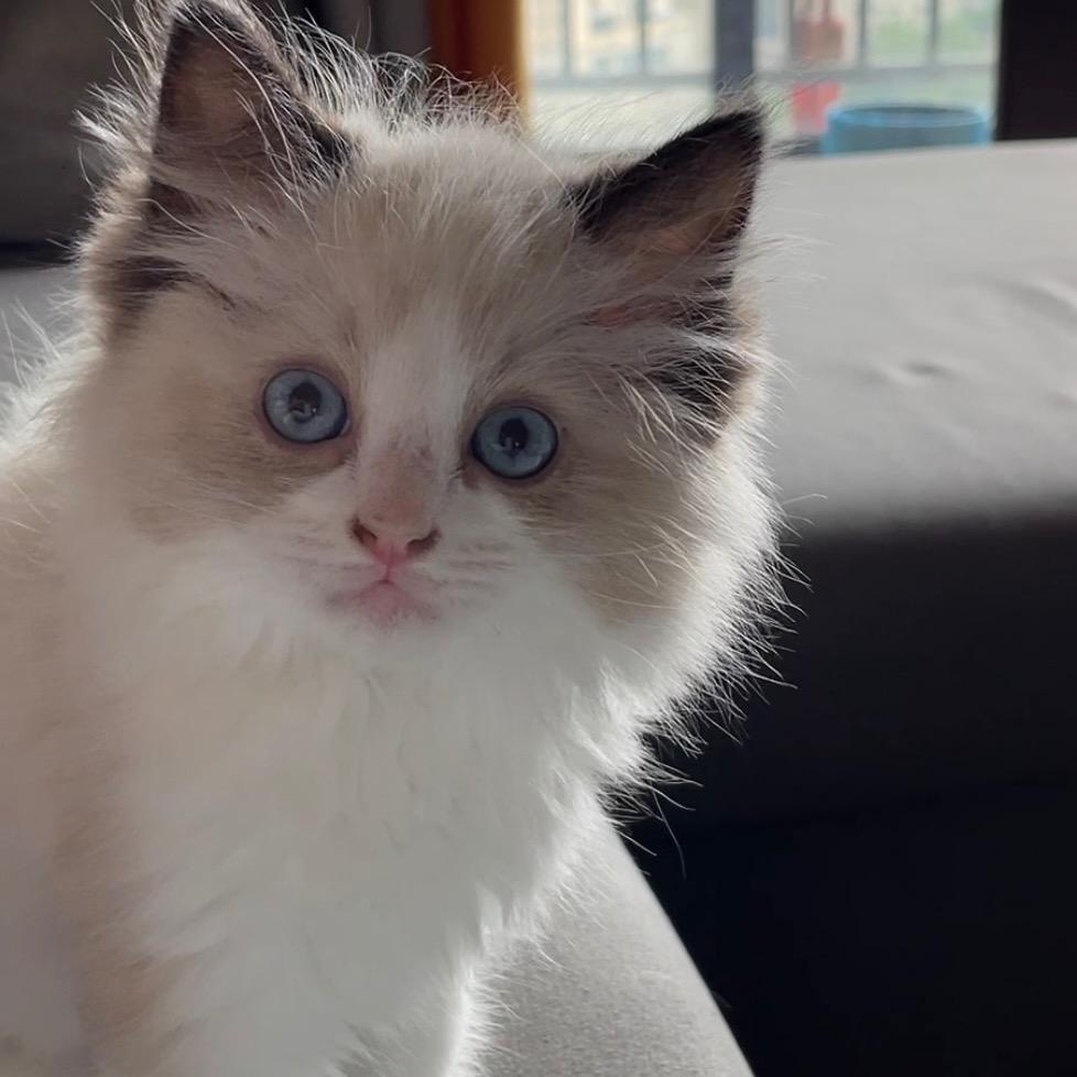 财神爺重点扶持对象