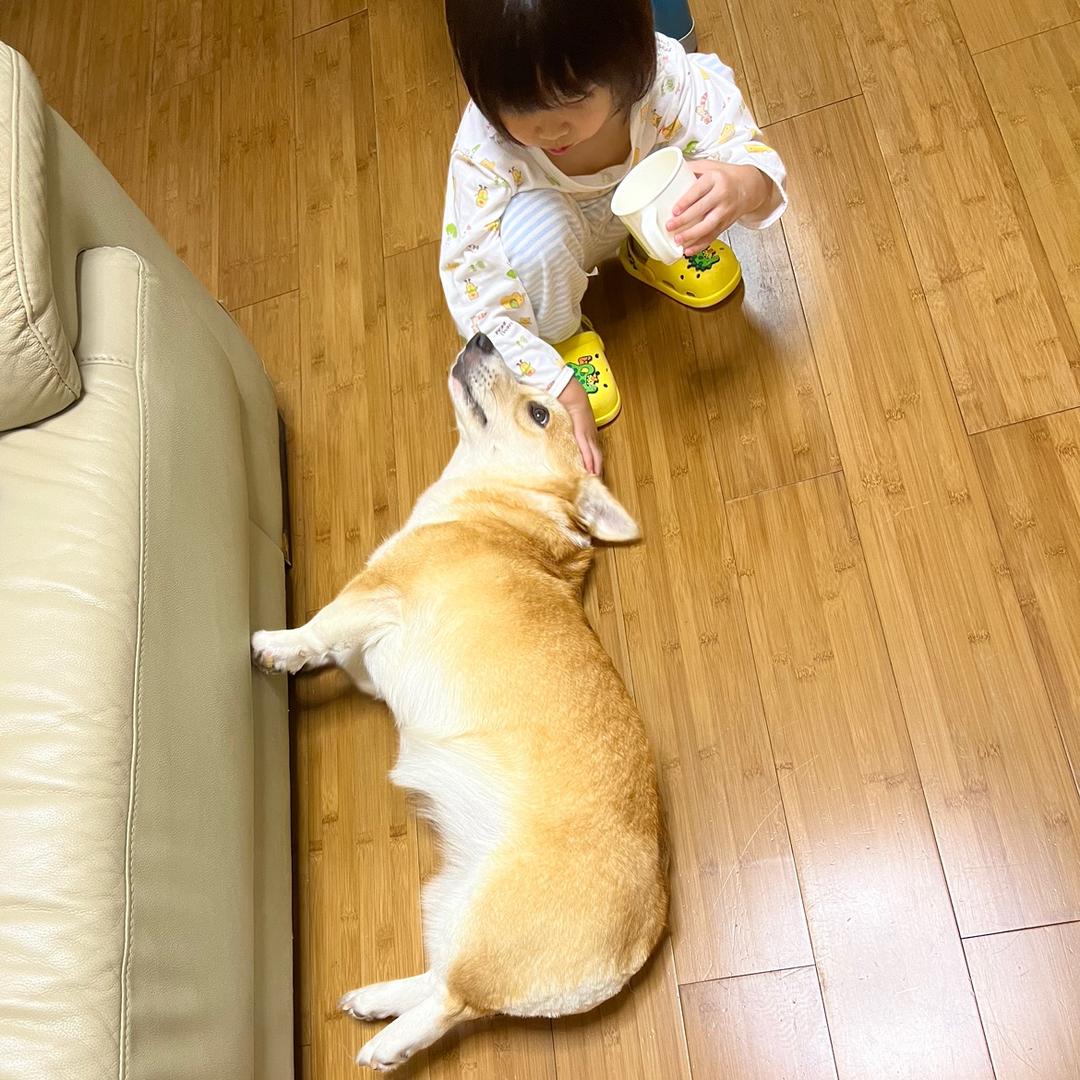 Gigi姐的Sa白甜