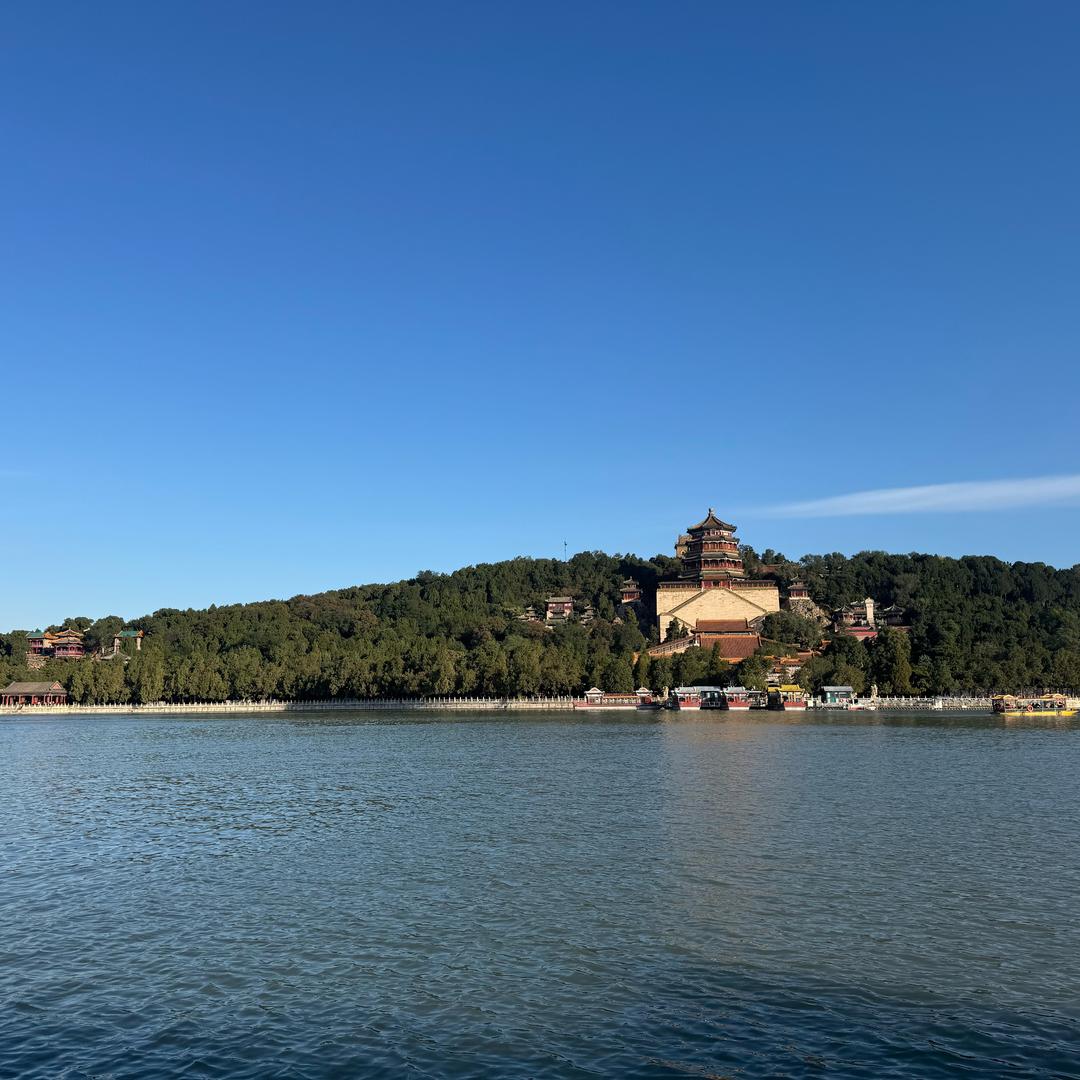 没角的鹿