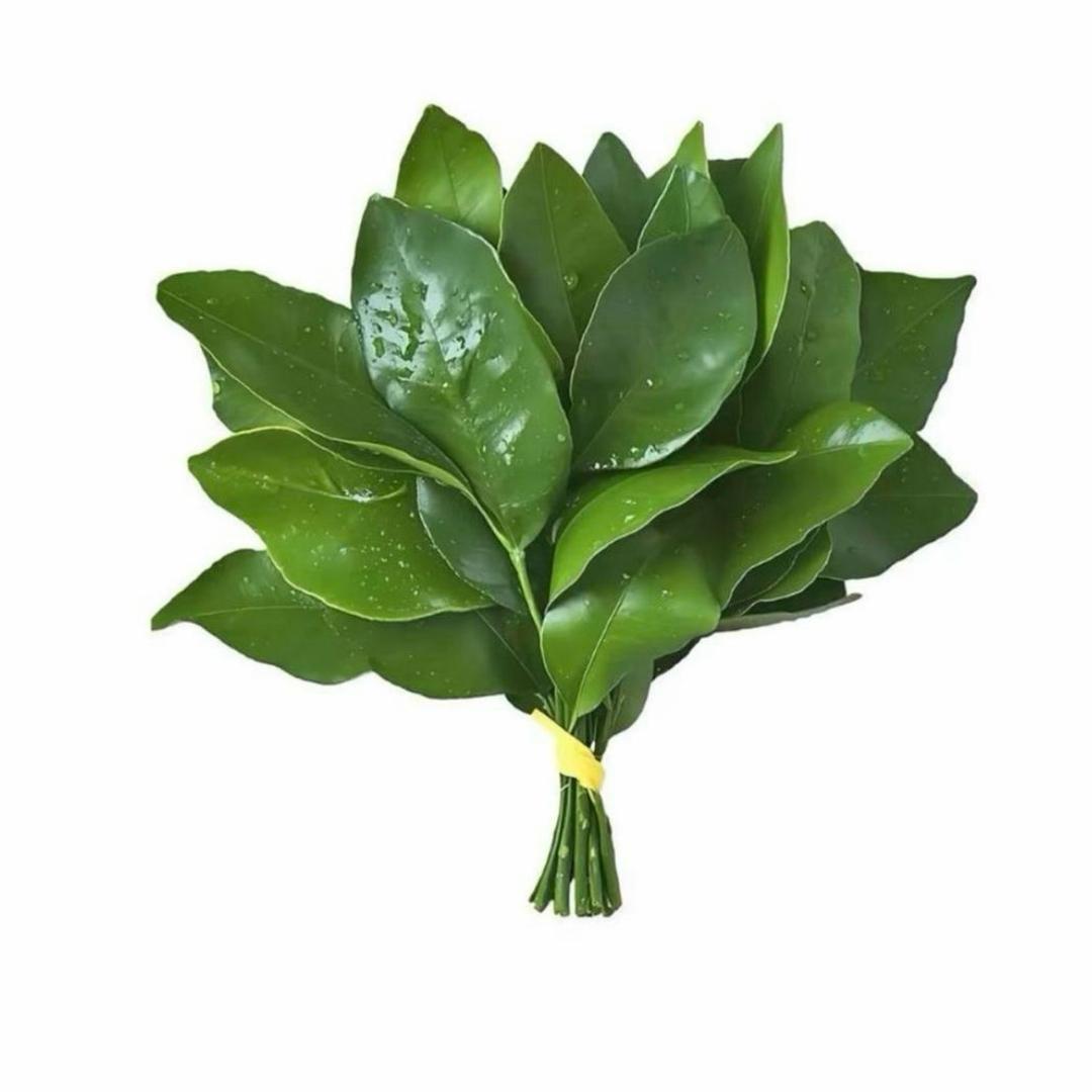小四