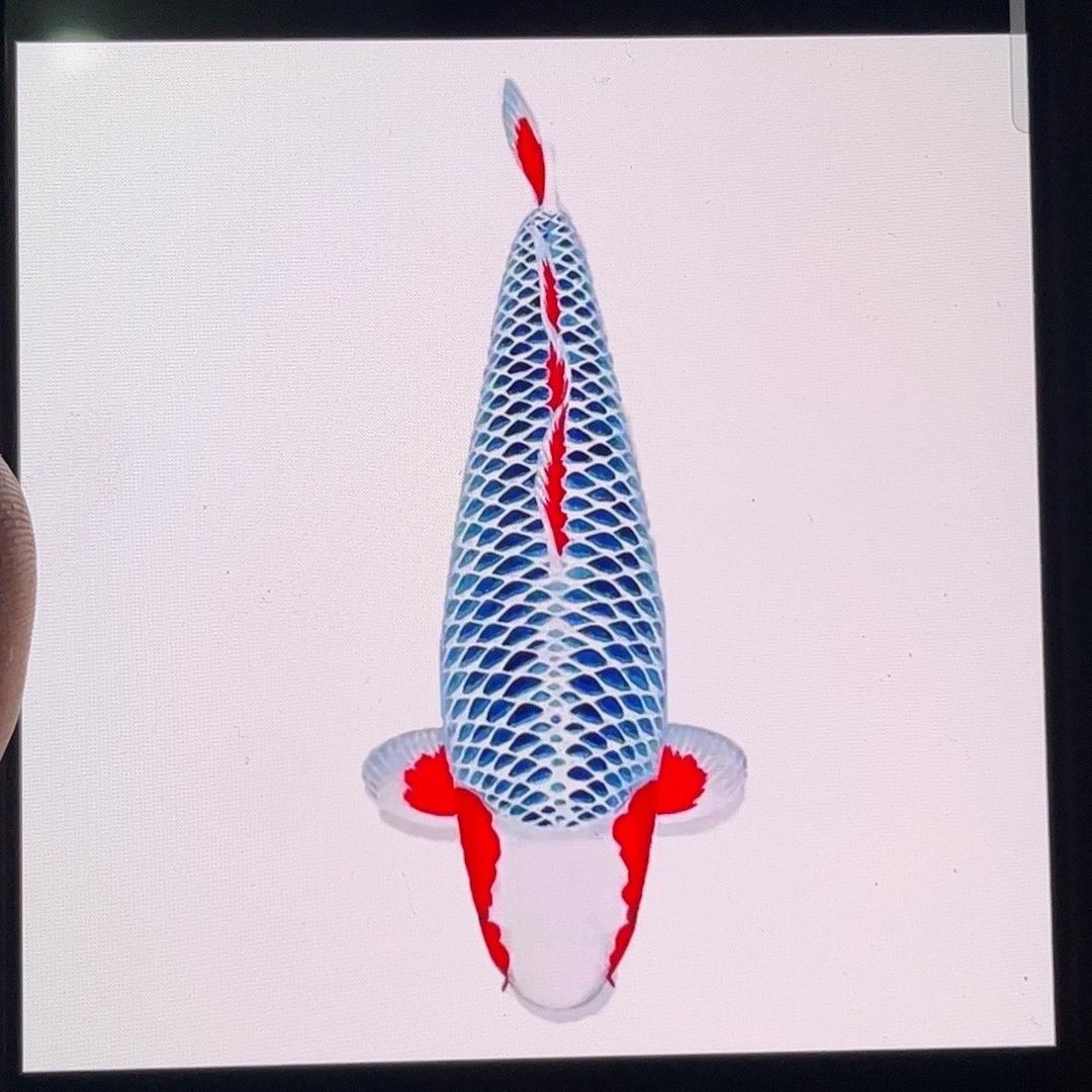 镇平县丽硕水产养殖场（个体工商户）