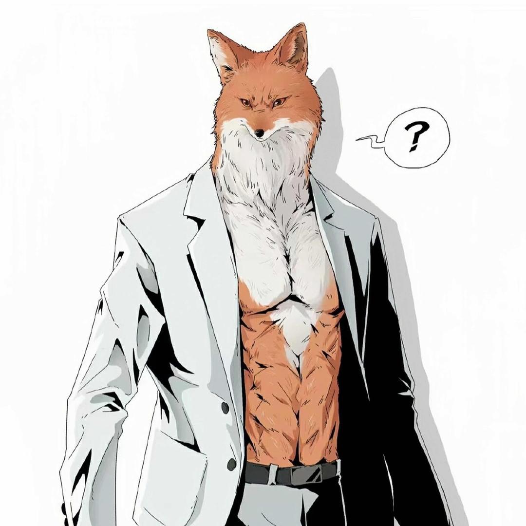 Mr狐狸