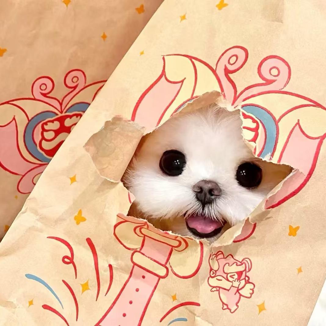 羊肉串串（木木版）