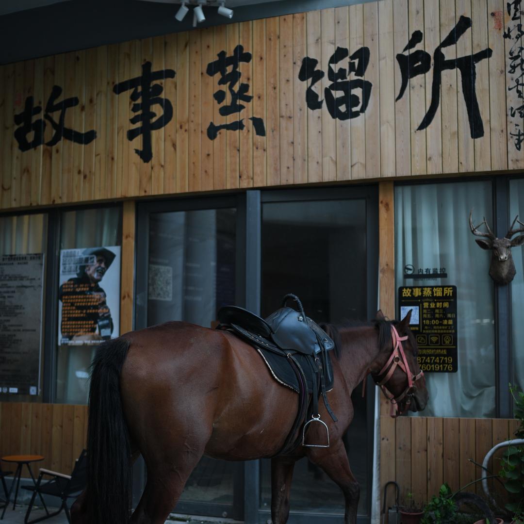 故事蒸馏所官方号