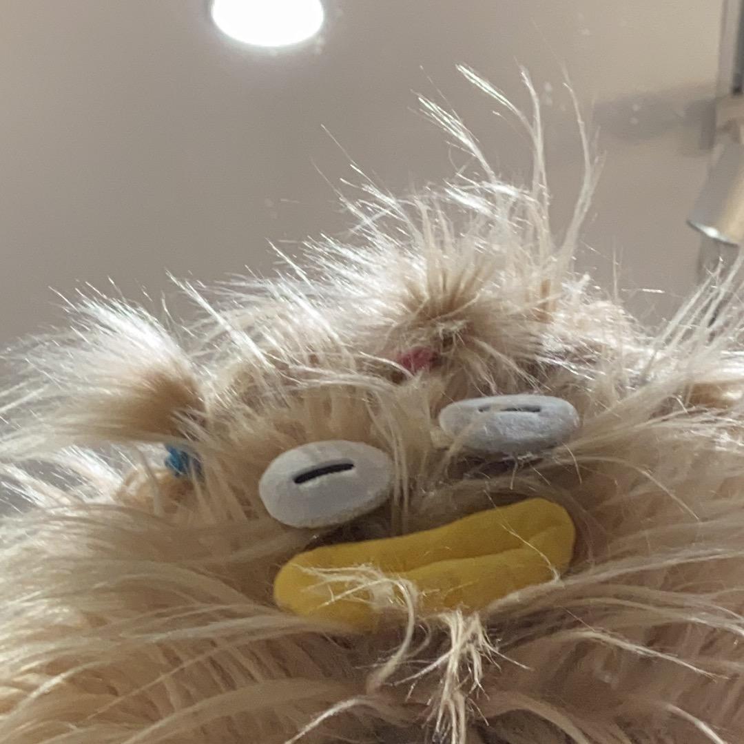 爱抠鼻屎的懒洋洋