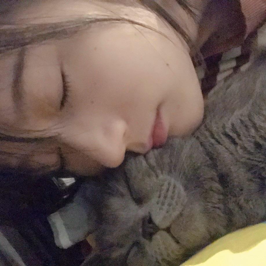 化身孤岛的鲸==