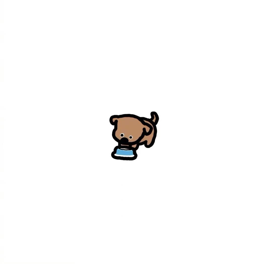 zzZoO