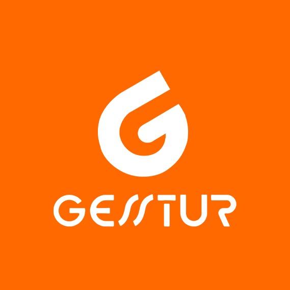 GESSTUR深智专卖店