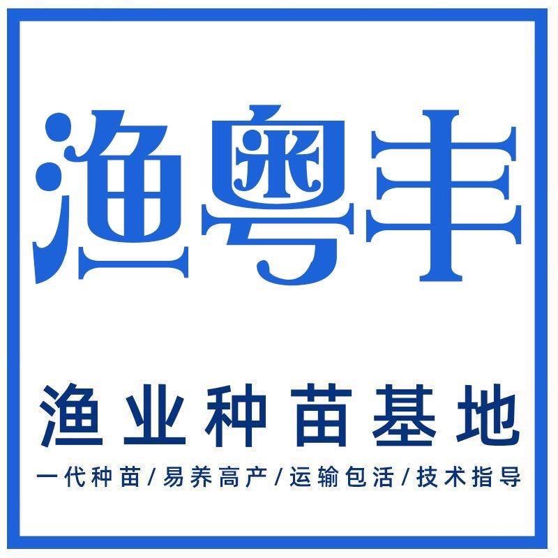 渔粤丰种苗鱼场
