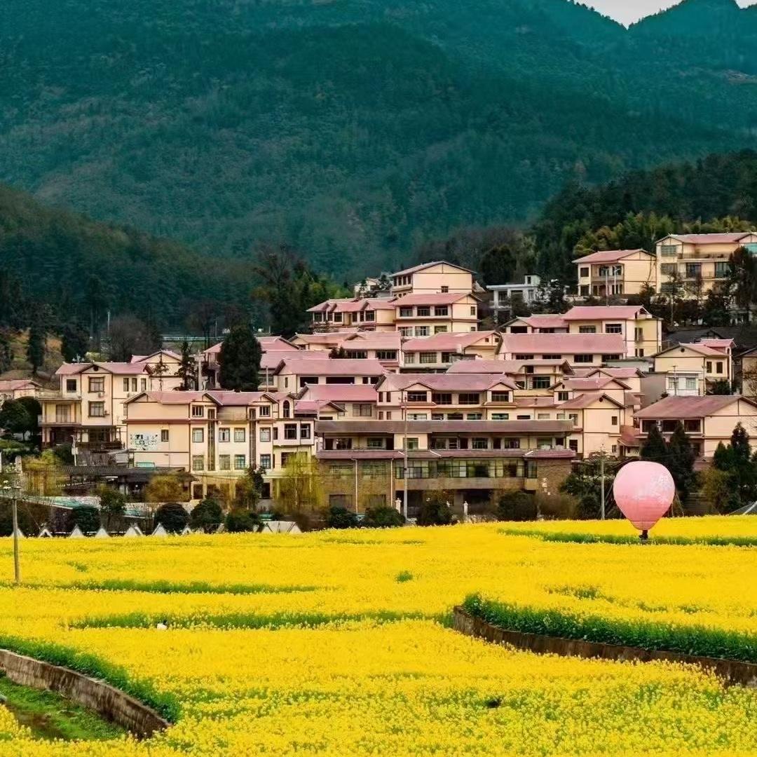 莆田市城厢区震顾浩百货商行（个体工商户）