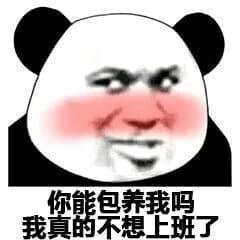 爱做欢喜少年             。