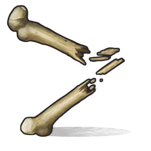 Bone骨头碎片