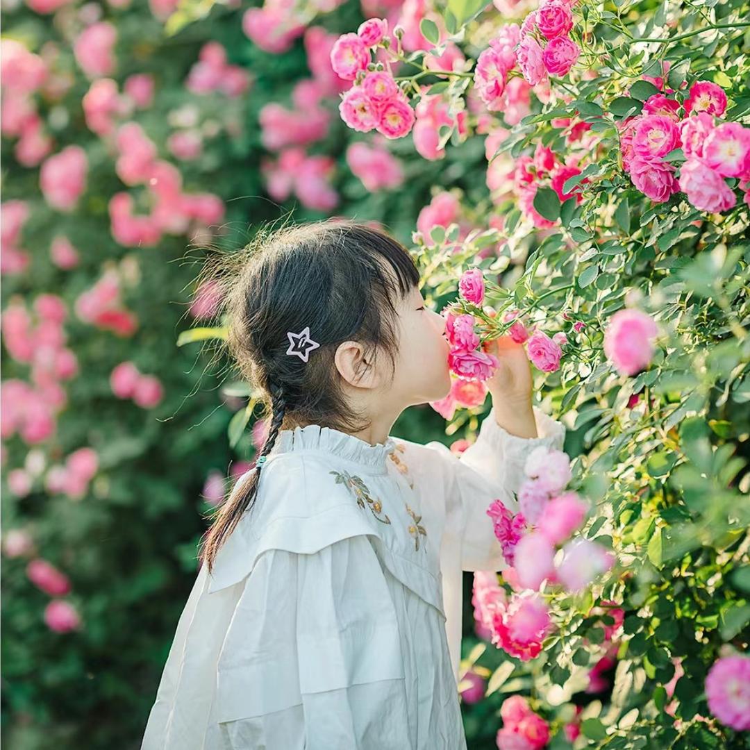 香香美食小厨房