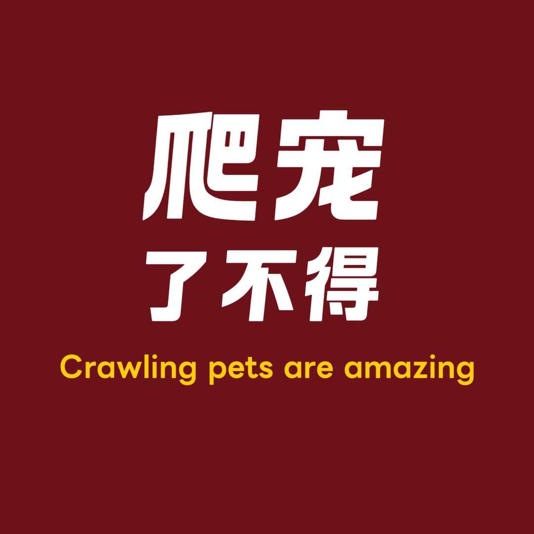 爬宠了不得
