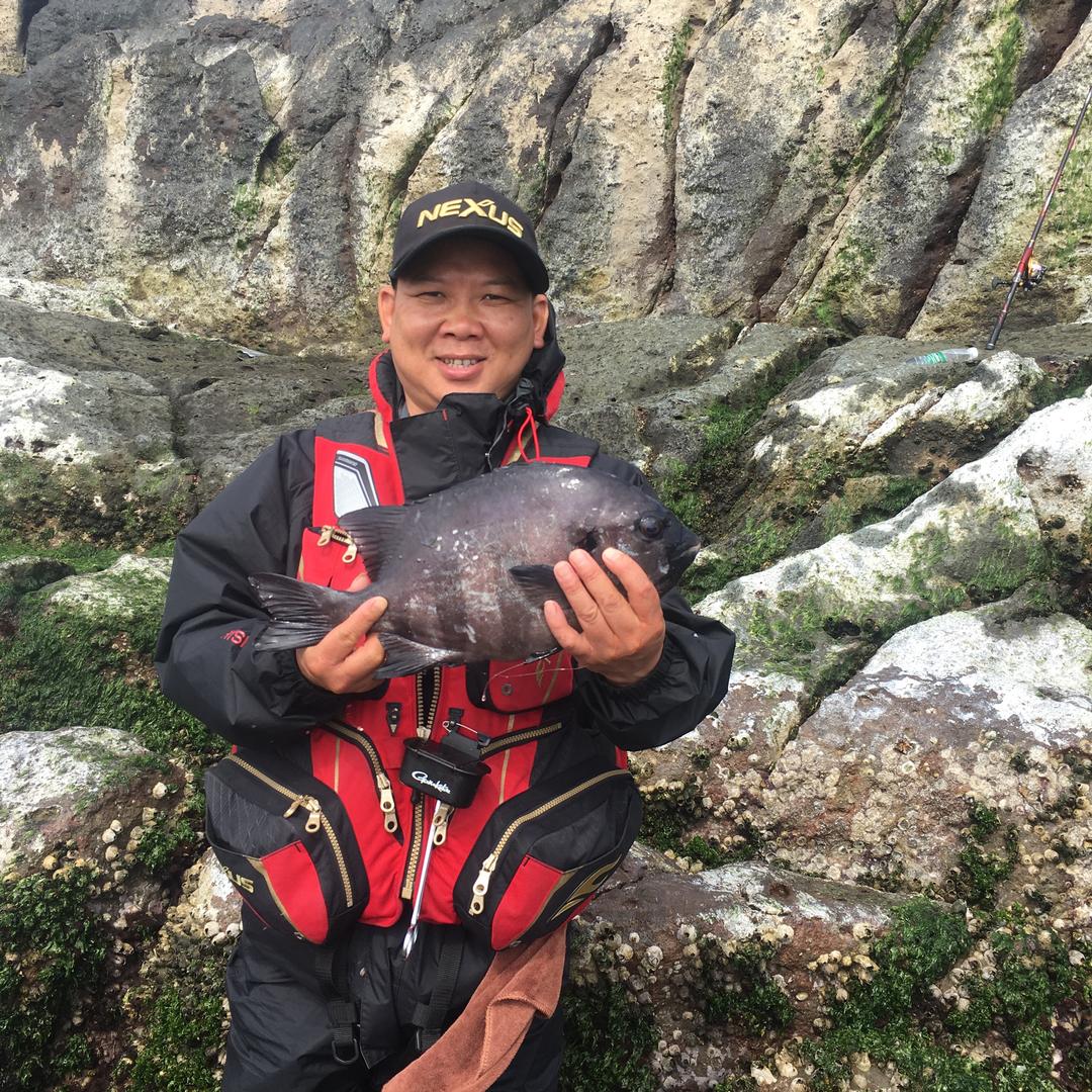 观海听涛
