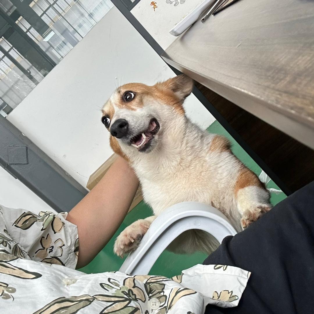 中山市如弘CNC精密模具加工💯