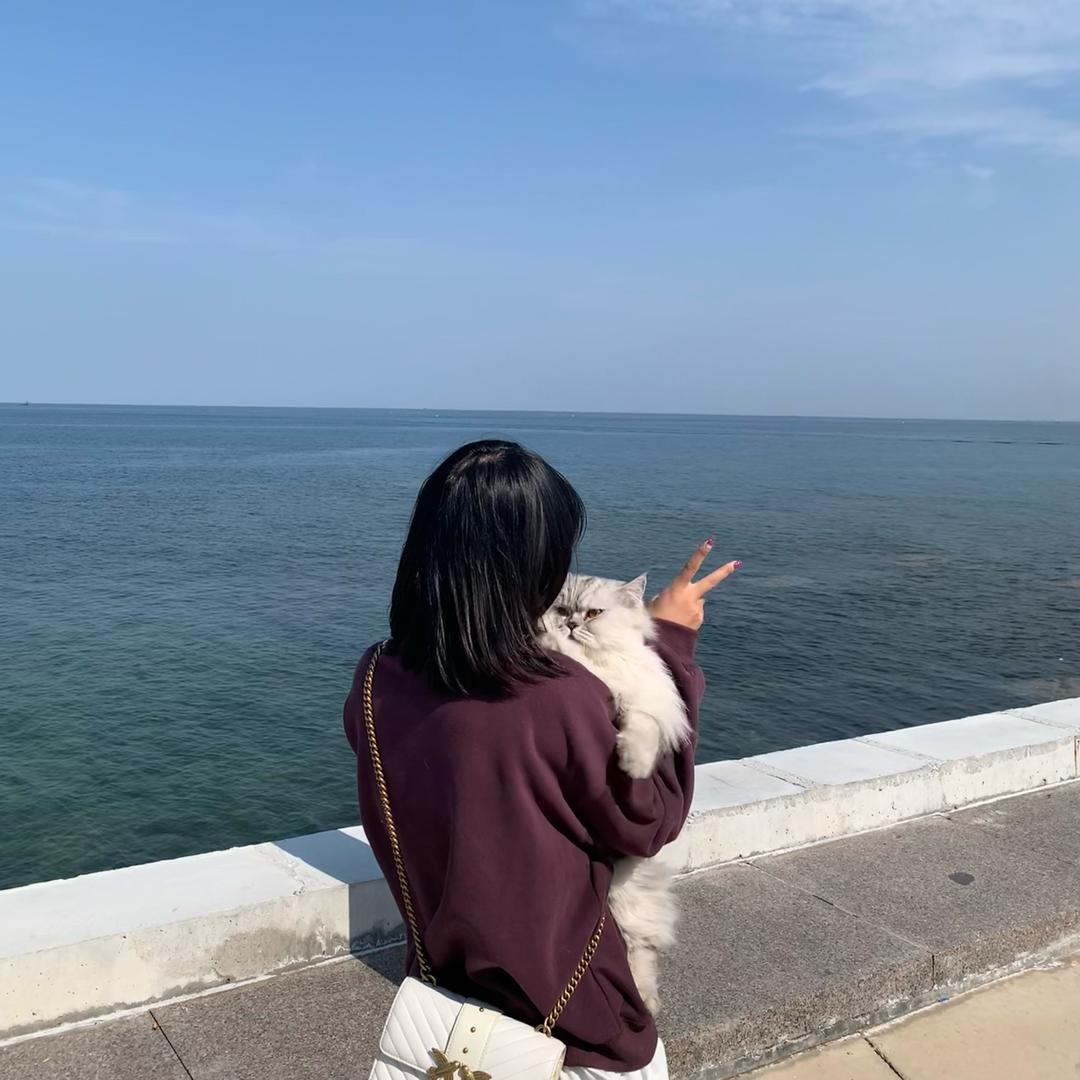 一只小胖球