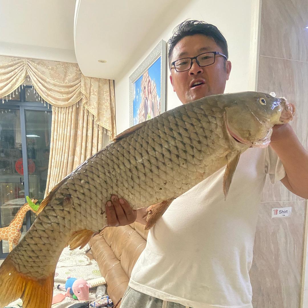 深钓鲫