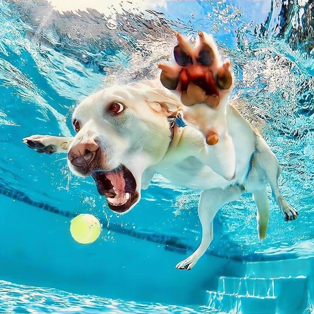 只想过好每一天