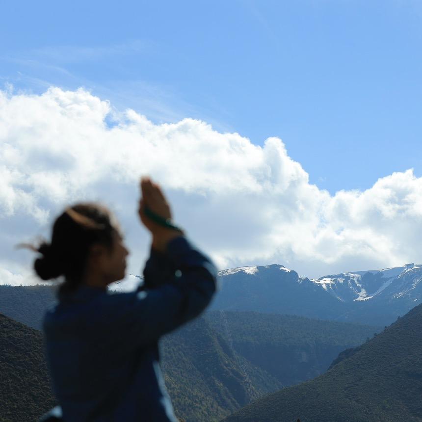 只想发财绝无二心