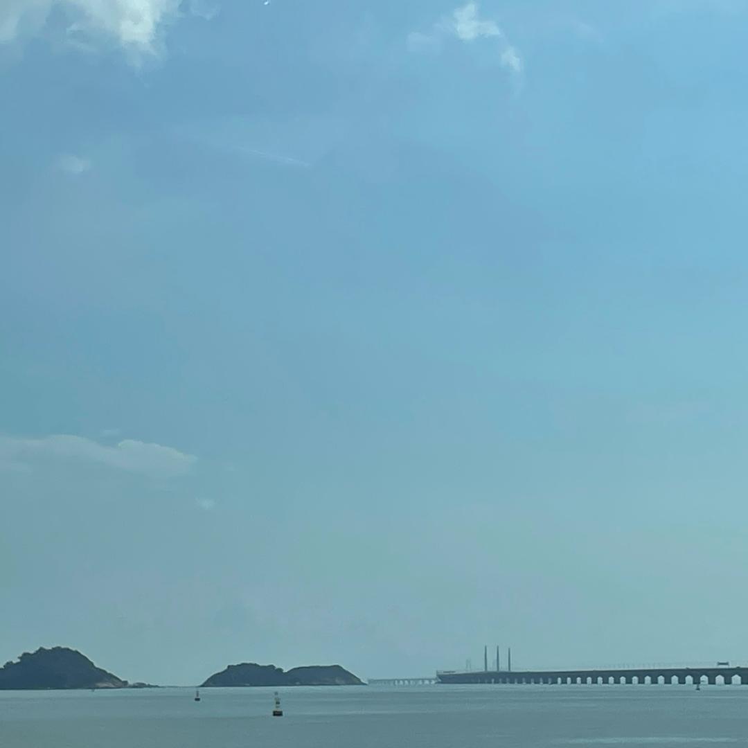 小小梦蝶