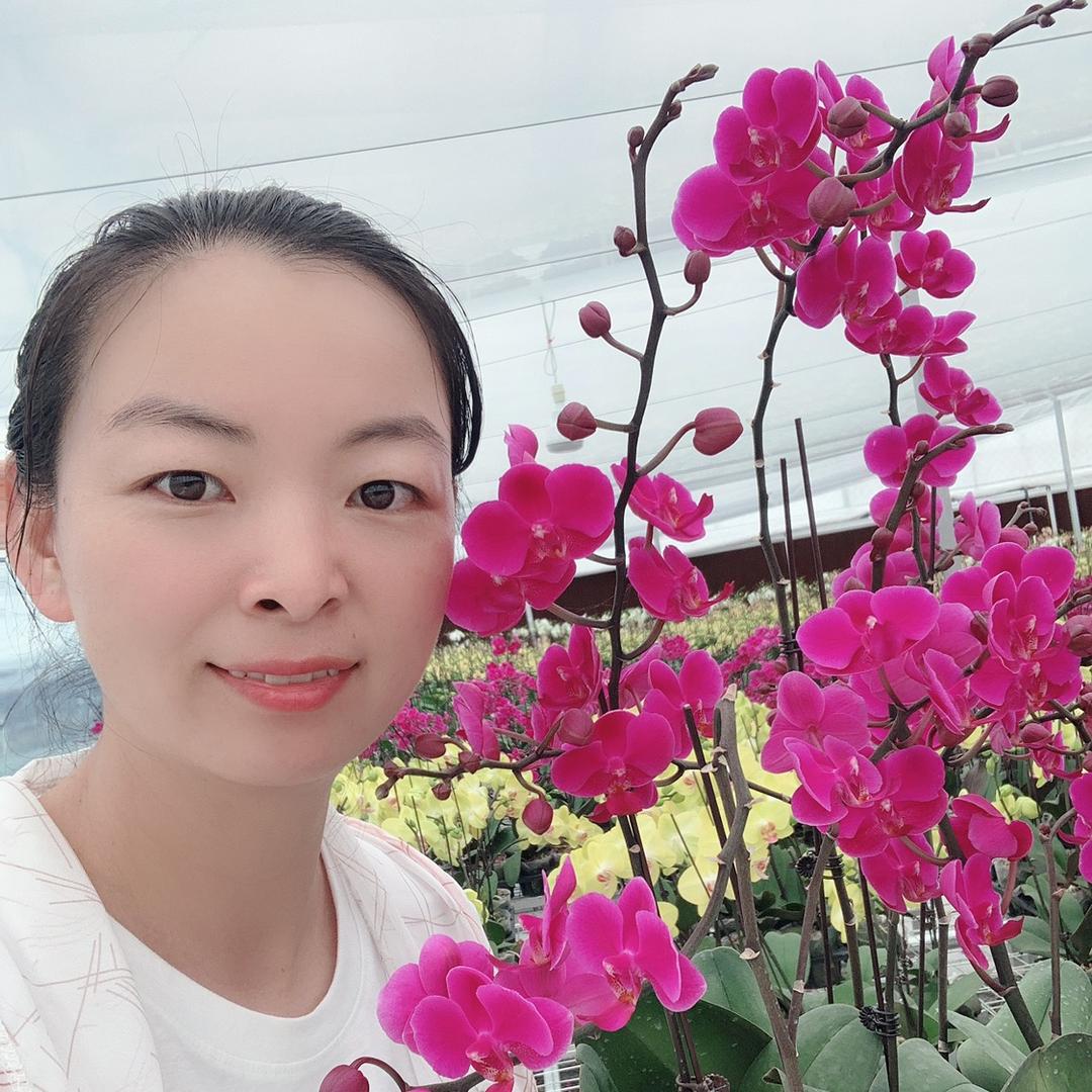 玲玲小花园