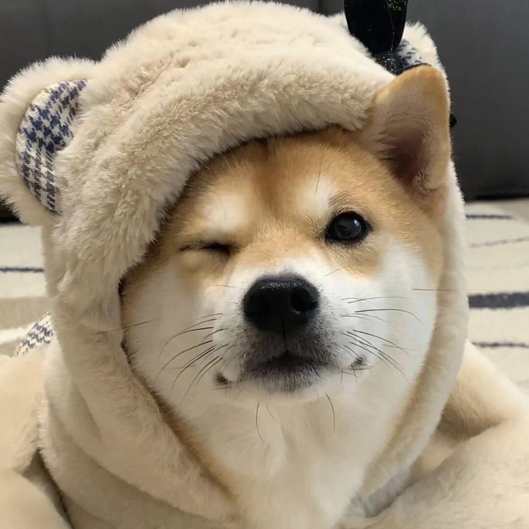 再睡五分钟