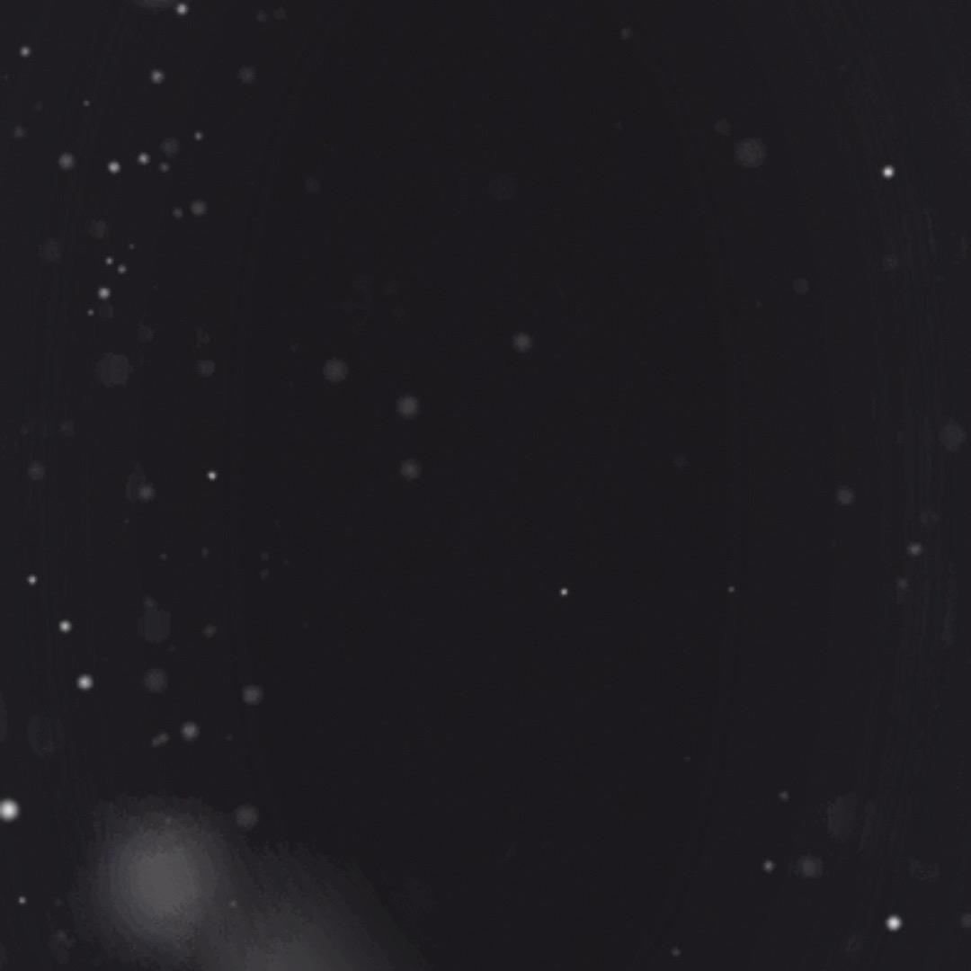 自由～