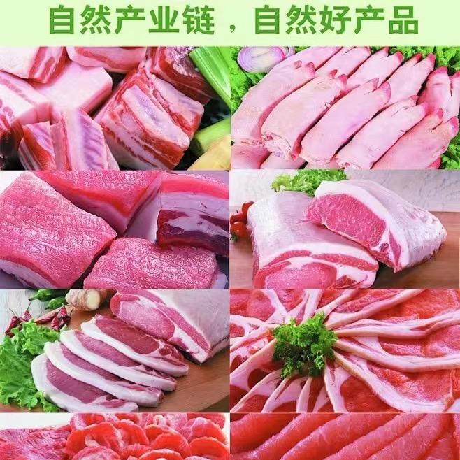 千喜鹤冷鲜肉遵化猪肉西施