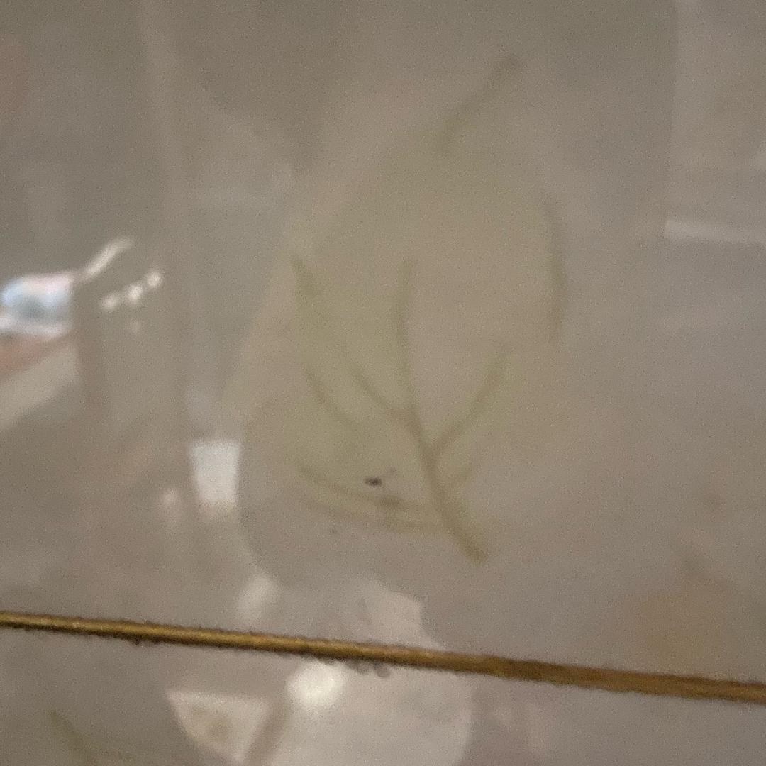 宝宝为大