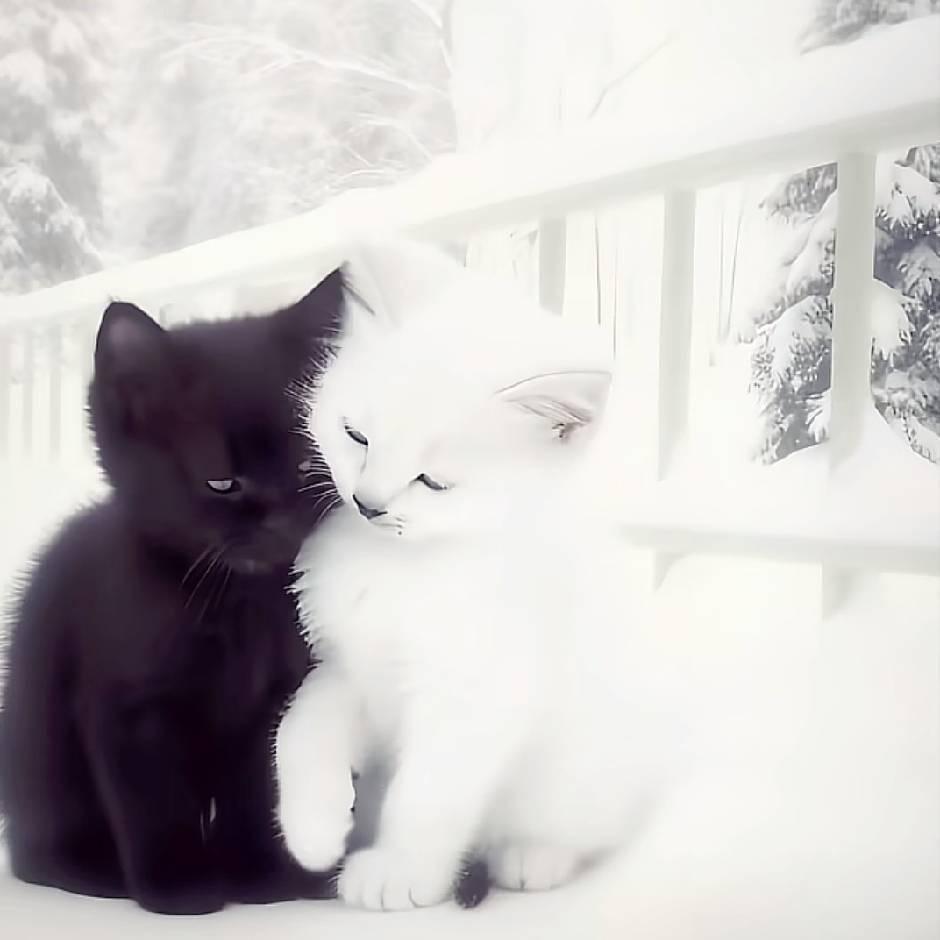 因喜欢带帽子被叫土老帽