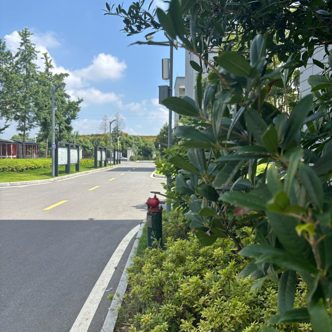 毕节升学糜老师