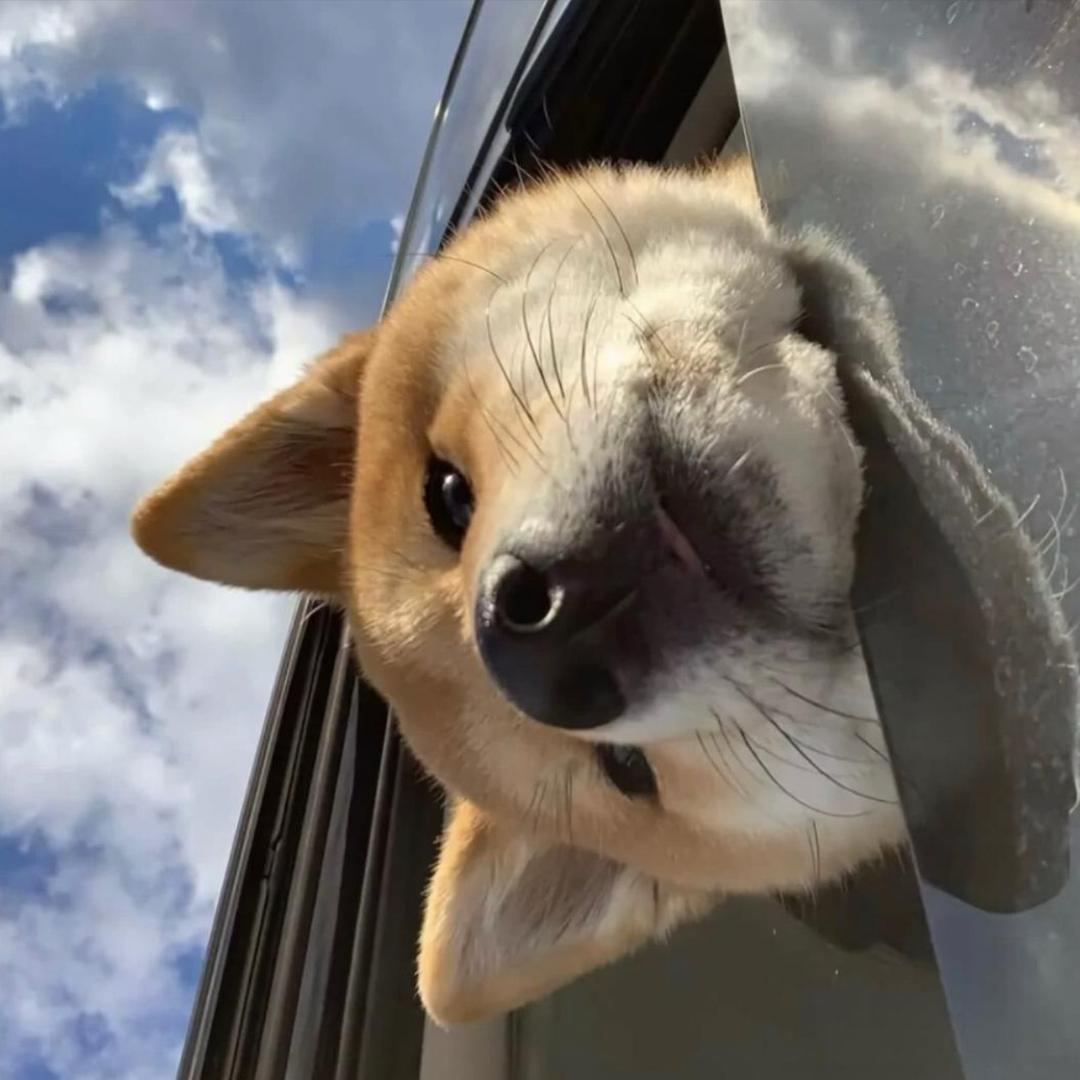 bo.