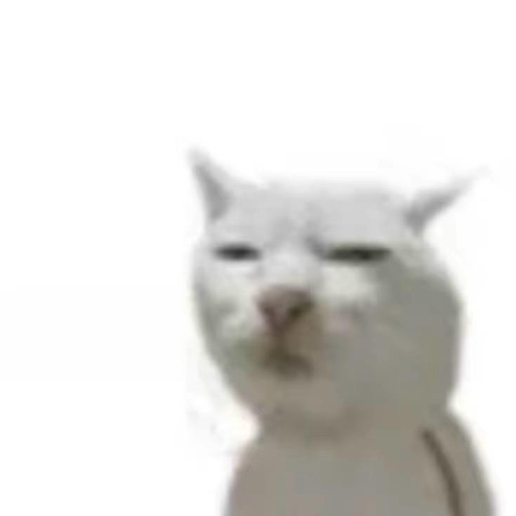 百味