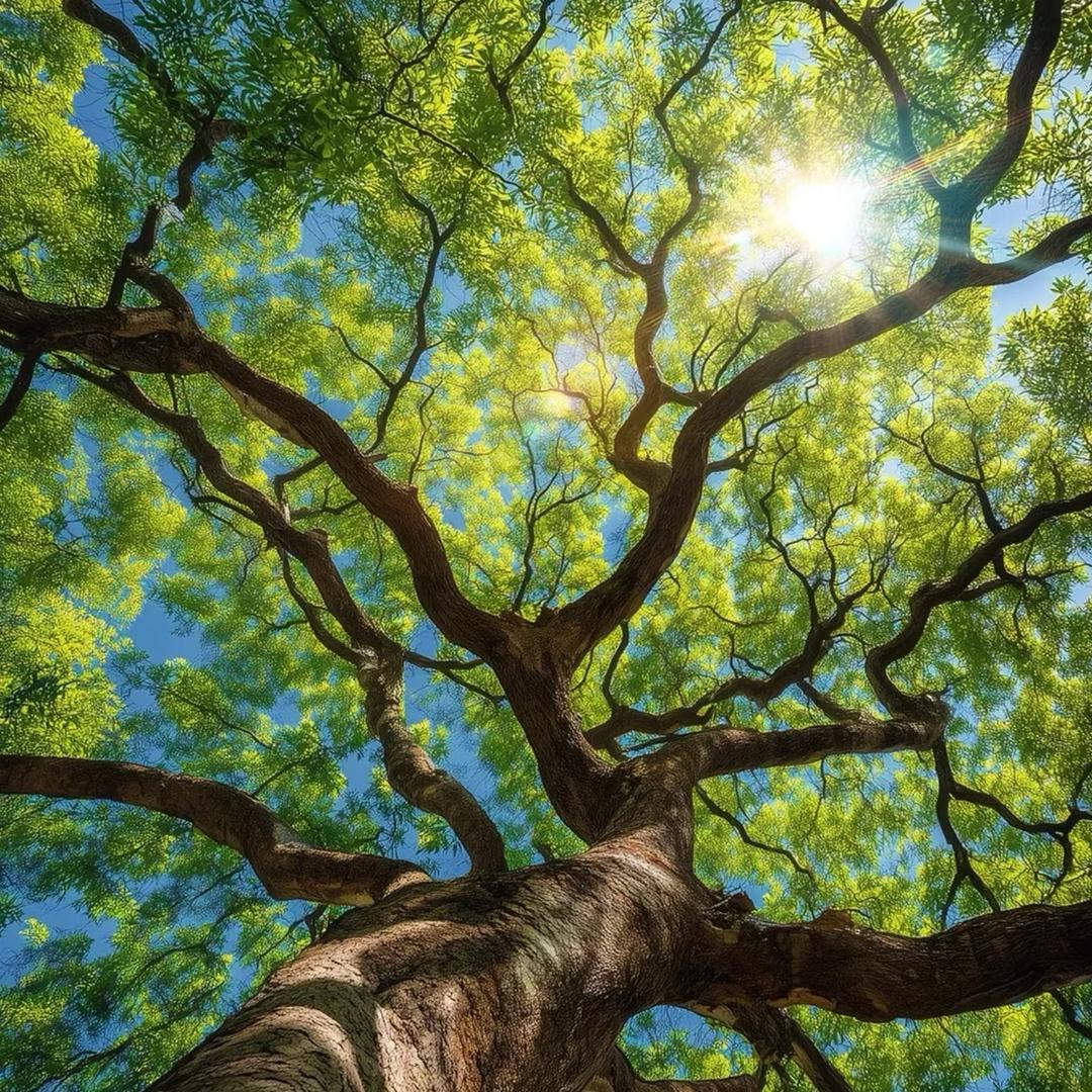 一臻Zen心灵空间