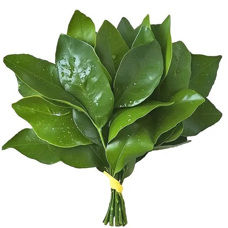 木木…